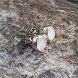 Rainbow Moonstone Studs